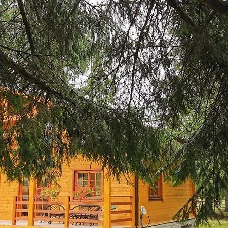 Casute Cu Cerdac Chalet Saru Dornei